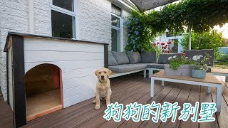 我给狗狗做了个别墅（新西兰 Harold Vlog 541）