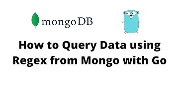 How to Query Data using Regex from Mongo with Go