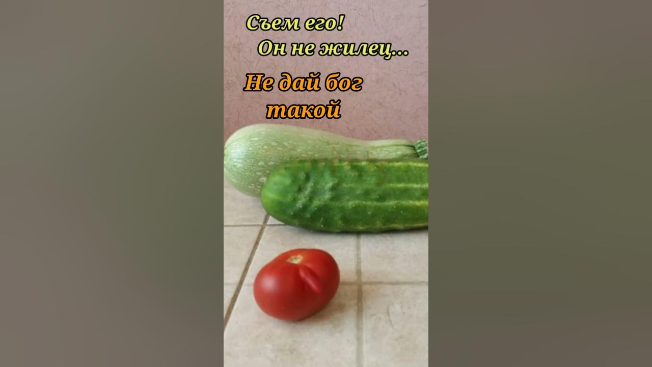 Супер - пупер огурец. - YouTube