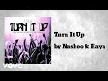 Nashoo  haya  turn it up audio