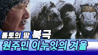 동토의 땅,  북극 이뉴잇의 겨울사냥 [세상실험] KBS 2010.01.10 방송
