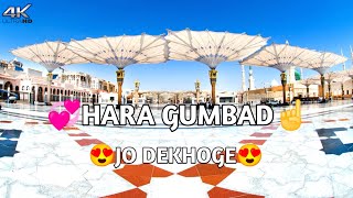 Special Eid Milad Un Nabi StatusHara Gumbad Jo DekhogeZamana Bhool JaogeNew WhatsApp Status