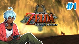 Laid-back Play [#1] | Zelda: Twilight Princess