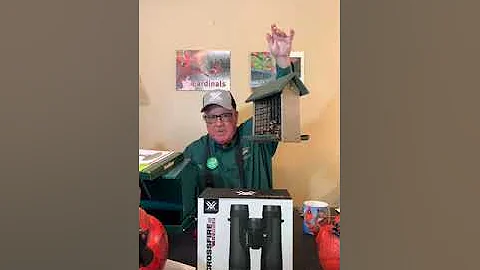 Attracting Cardinals and Gardening for Birds