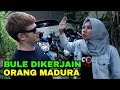 BULE INI DIKERJAIN ORANG MADURA