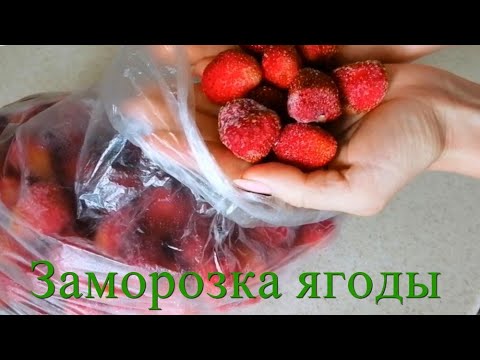 Заморозка ягод. Как правильно заморозить ягоду. На примере дикой смородины