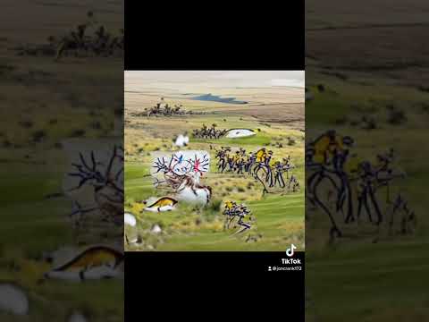 Video: În bătălia de la micul râu Bighorn din 1876?