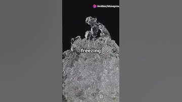 𝐔𝐧𝐯𝐞𝐢𝐥𝐢𝐧𝐠 𝐒𝐨𝐥𝐮𝐭𝐢𝐨𝐧𝐬 & 𝐂𝐨𝐥𝐥𝐢𝐠𝐚𝐭𝐢𝐯𝐞 𝐏𝐫𝐨𝐩𝐞𝐫𝐭𝐢𝐞𝐬!