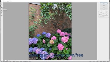 Photoshop Elements 2020 Tutorial The Liquify Command Adobe Training