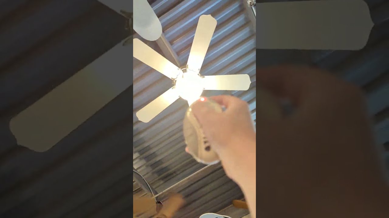 Fanimation Museum tour.