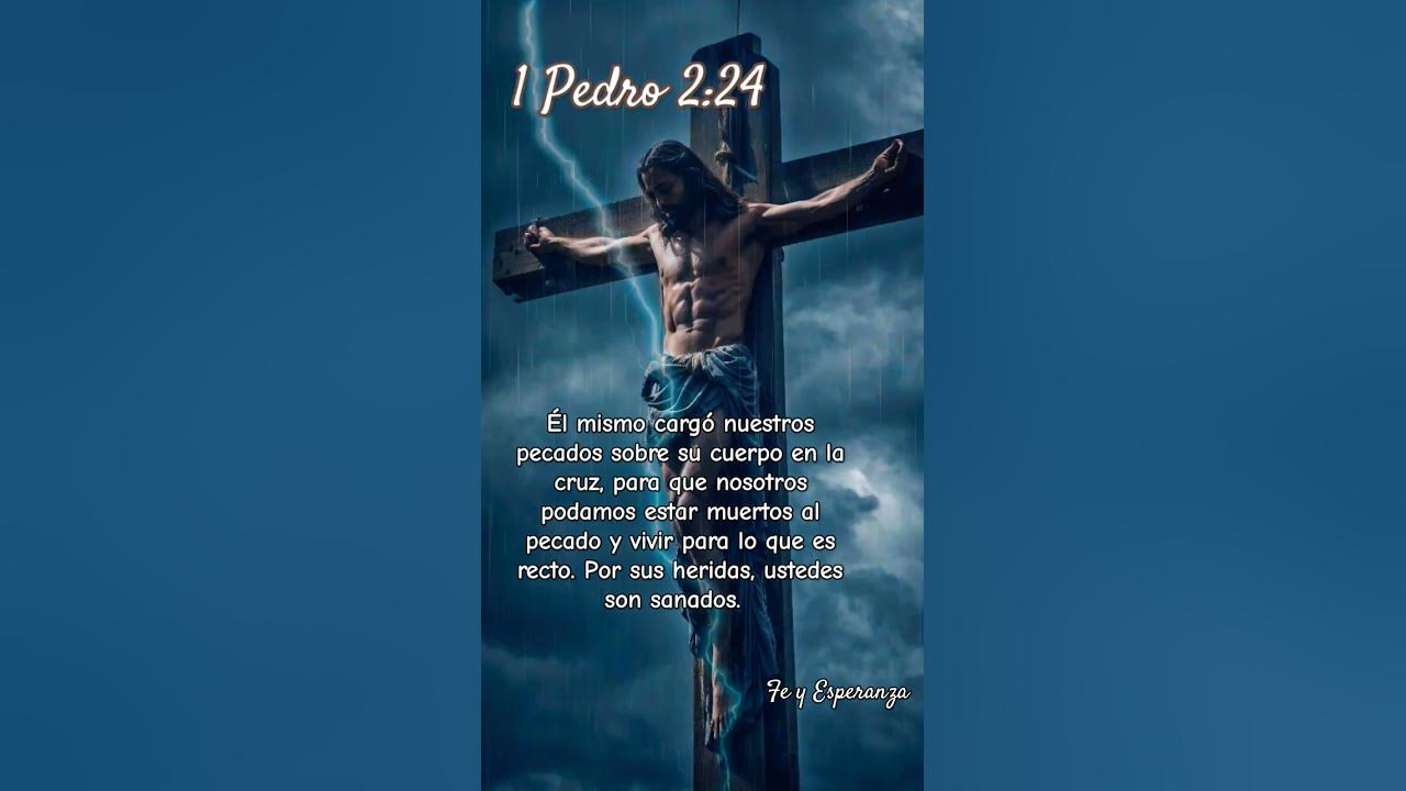1-pedro-2-24-youtube