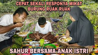 Cepat sekali responnya mikat burung ruak ruak || Sahur bersama anak istri