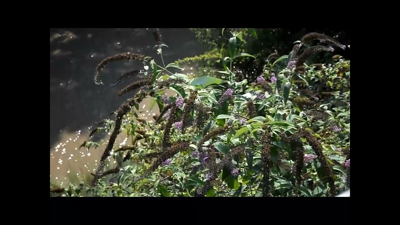 free ledbyher + fakemink indie jerk type beat therapy 175