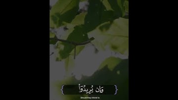 القارئ ياسر الدوسري  | ارح سمعك.. تلاوة هادئة تريح القلب والعقل💙🎧