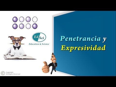 Vídeo: Com es calcula la penetració en genètica?