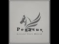 Pegasus luxury tiny house  tour