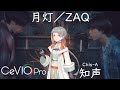 [知声 Chis-A] 月灯 / ZAQ [CeVIO Pro Cover + EN translation]