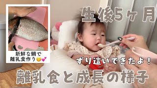 【生後5ヶ月】離乳食初期/ずり這いらしきものが出来たよ