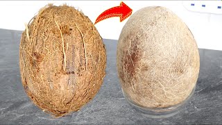 How to remove COCONUT Shell from COCONUT | How to BREAK COCONUT SHELL WITHOUT BREAKING THE COCONUT
