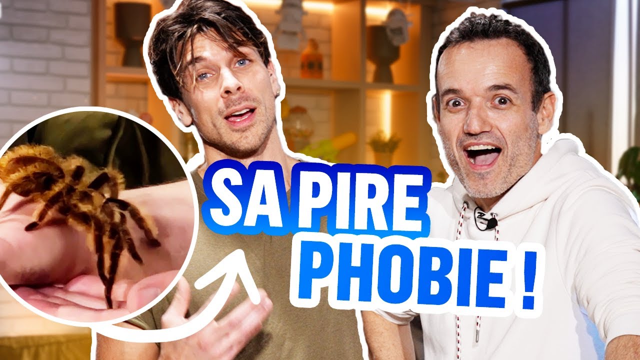 Phobie des araignées : comment s’en débarrasser (feat @FabienOlicard ...