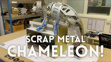Building a Chameleon Out of Trash - Day 19