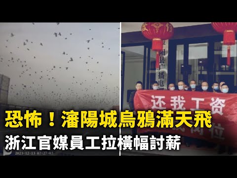 辽宁比亚迪4s店着火！沈阳城上空满天乌鸦盘旋！大锅饭吃不长 沈阳两家社区食堂开业俩月就关门！“还我工资” 浙江平阳县官媒员工拉横幅讨薪！云南蛋糕店门口摆花篮 遭罚200元 网络视频