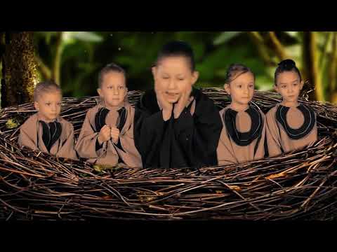 ჩიტი ჩიორა