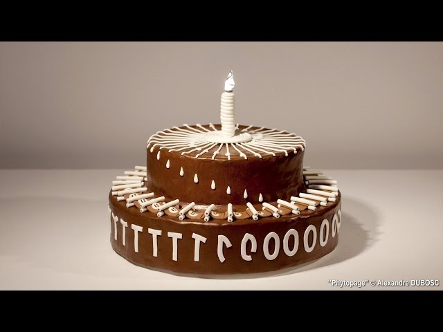 Zoetrope Animation Cakes Zoetrope Zoetrope Animation Cakes Zoetrope