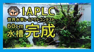 アクア師匠60cm水槽 Ada Iaplc 世界水草レイアウトコンテスト17 作品発表 Youtube アクア師匠60cm水槽 Ada Iaplc 世界水草レイアウトコンテスト17 作品発表 Youtube