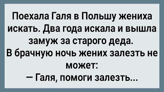 видео: Как Галя в Польше Женихов Искала! Сборник Свежих Анекдотов! Юмор! картинка: Как Галя в Польше Женихов Искала! Сборник Свежих Анекдотов! Юмор!