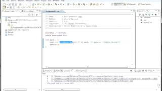 How to use SVN - Part 2 Net Worth
