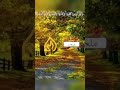 اكتب شئ تؤجر عليه اذكر الله يذكرك وارح قلبك من الاغاني اكسبلور اكتب شئ تؤجر عليه اذكر الله يذكرك وارح قلبك من الاغاني اكسبلور
