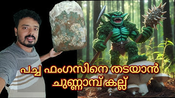 Trichoderma | Green Mold Disease | West Coast Mushrooms