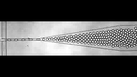 ARAbate, flow-focus drop formation