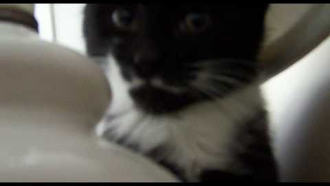 World Ends in 2012 from this....