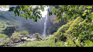 Водопад Лаксапана(Laxapana Falls),Маскелия(Maskeliya),Шри-Ланка(Sri Lanka)