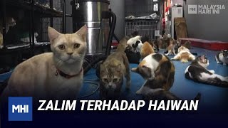 Zalim Terhadap Haiwan | MHI (17 September 2020)