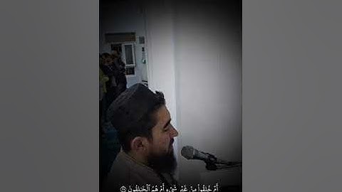 م.شکر صابر-SHUKUR SABR{سورة الطور كاملة} شەوانی قەدر-٢٥رمضان١٤٤٦