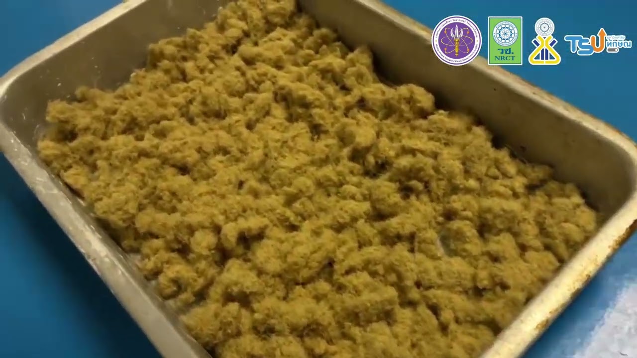 Sustainable Fruit Packaging from PalmyraPalm Fiber: A Green Alternative to Plastic