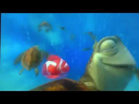 Finding Nemo grab shell dude in Italian