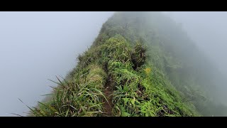 Part 2.  Ridgeline hike to the summit of Mount Olympus Awaawaloa via Wa'ahila Ridge Trail. HI