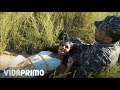 Nayo ❌ Black Jonas Point - No Fue Suficiente [Official Video] prod by nayo