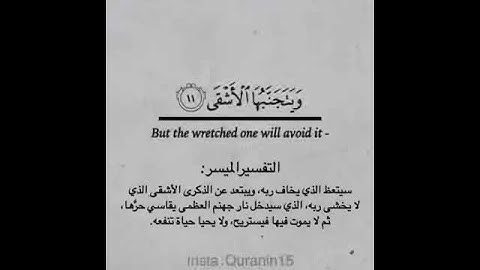 القارئ: محمد النقيب، سورة الاعلى