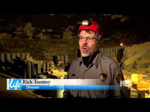 Βίντεο: Πού να μείνω στο Mammoth Cave;