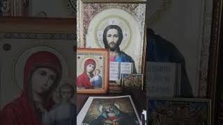 Приступая молиться Царице Богородице...Свт. Иоанн Кронштадский #словасвятых