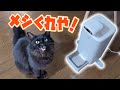 Cute Even For A Project Let S Try Out An Automatic Feeder With A Camera Cute Even For A Project Let S Try Out An Automatic Feeder With A Camera