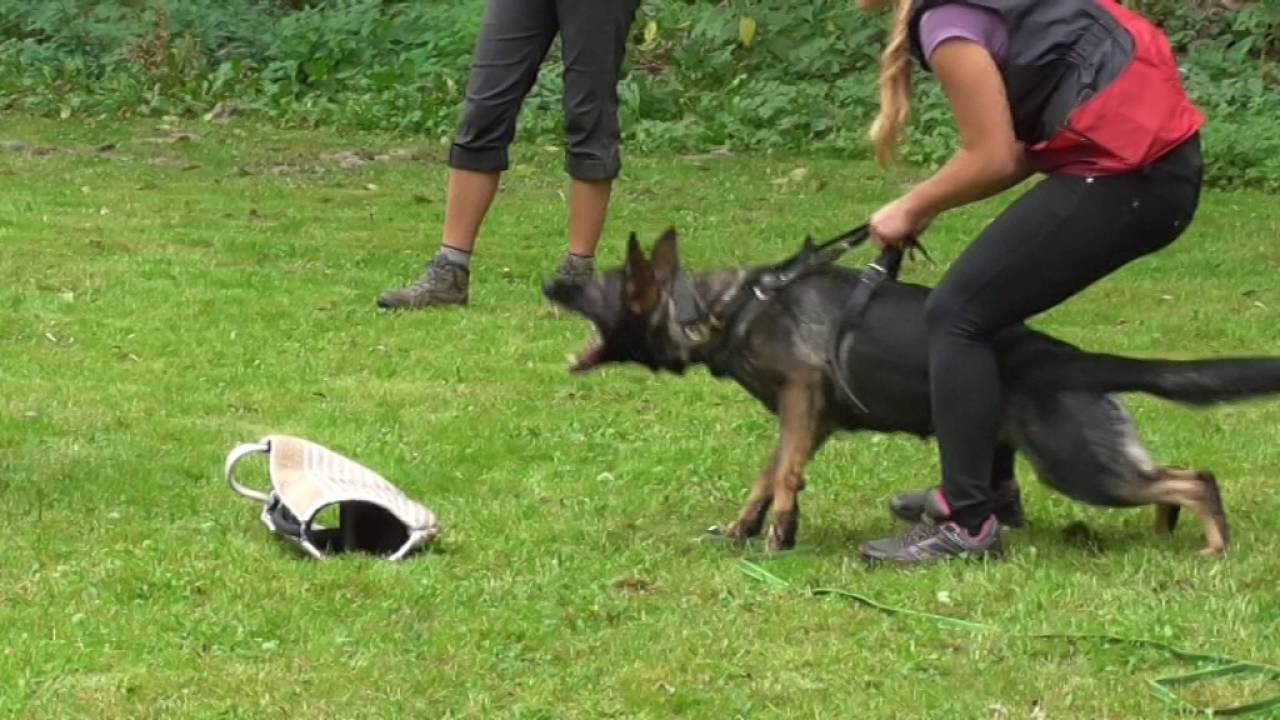 Tréning Lukáš Slowioczek SAXON október