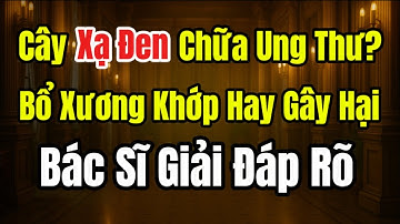 Cây Xạ Đen: Chữa Ung Thư, Bổ Xương Khớp Hay Gây Hại? Bác Sĩ Giải Đáp Rõ