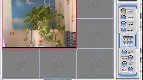 Web Camera Recording Software for Windows XP Free Download Webcam Capture Freeware