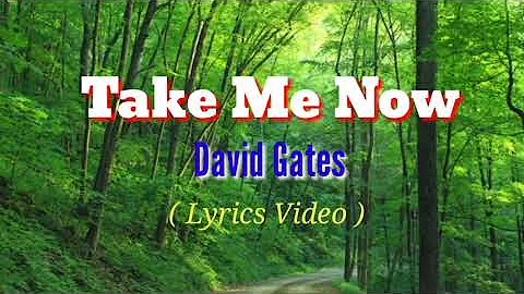 Take Me Now (Lyrics Video)by David Gates